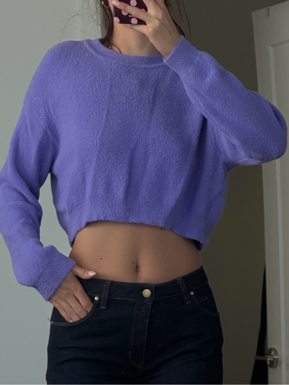 Zara Lavender Cropped Crewneck Sweater